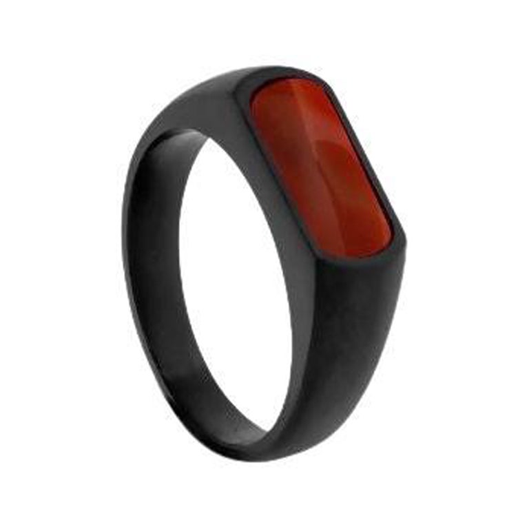 Black IP Stainless Steel RT Signet Ring with Carnelian, Size M For Sale