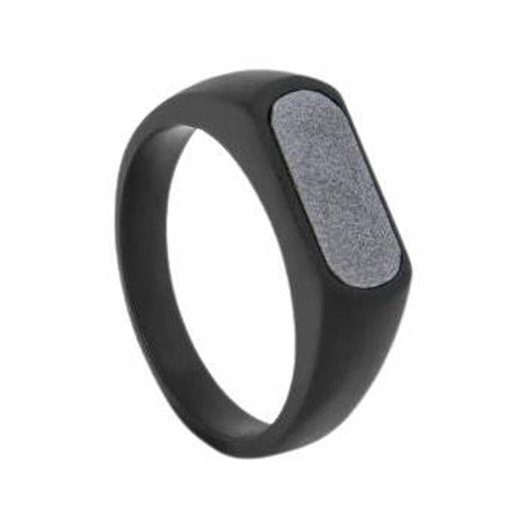 Black IP Stainless Steel RT Signet Ring with Hematite, Size M For Sale