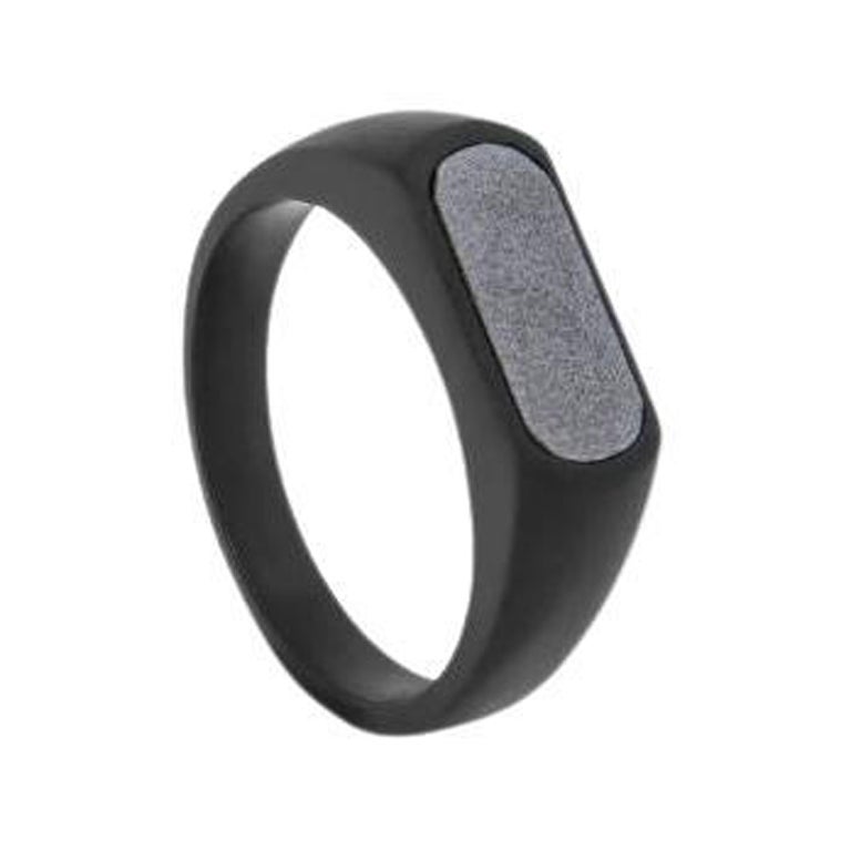 Black IP Stainless Steel RT Signet Ring with Hematite, Size L For Sale