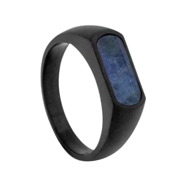 Black IP Stainless Steel RT Signet Ring with Sodalite, Size L For Sale