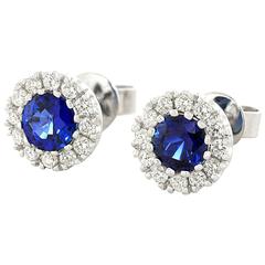 Sapphire  Diamond White Gold Earrings 