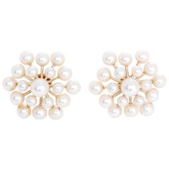 Pearl Gold Non-Pierced Earrings