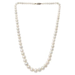 Single Row Natural Saltwater Pearl Necklace