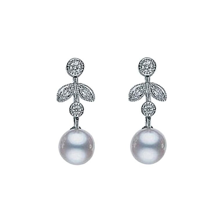 Akoya Pearl Earrings - Michael Levin Jewellers