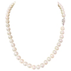 Akoya Pearl Necklace 14k White Gold 17" 7.9 mm Certified