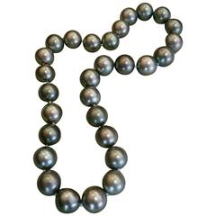 Tahitian Black South Sea Pearl Necklace