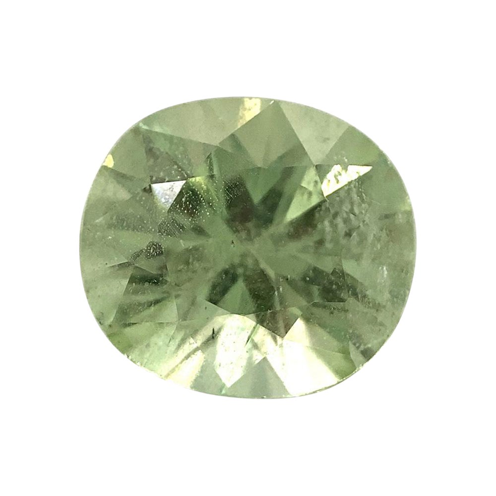 2.34ct Oval Mint Green Garnet from Merelani, Tanzania For Sale