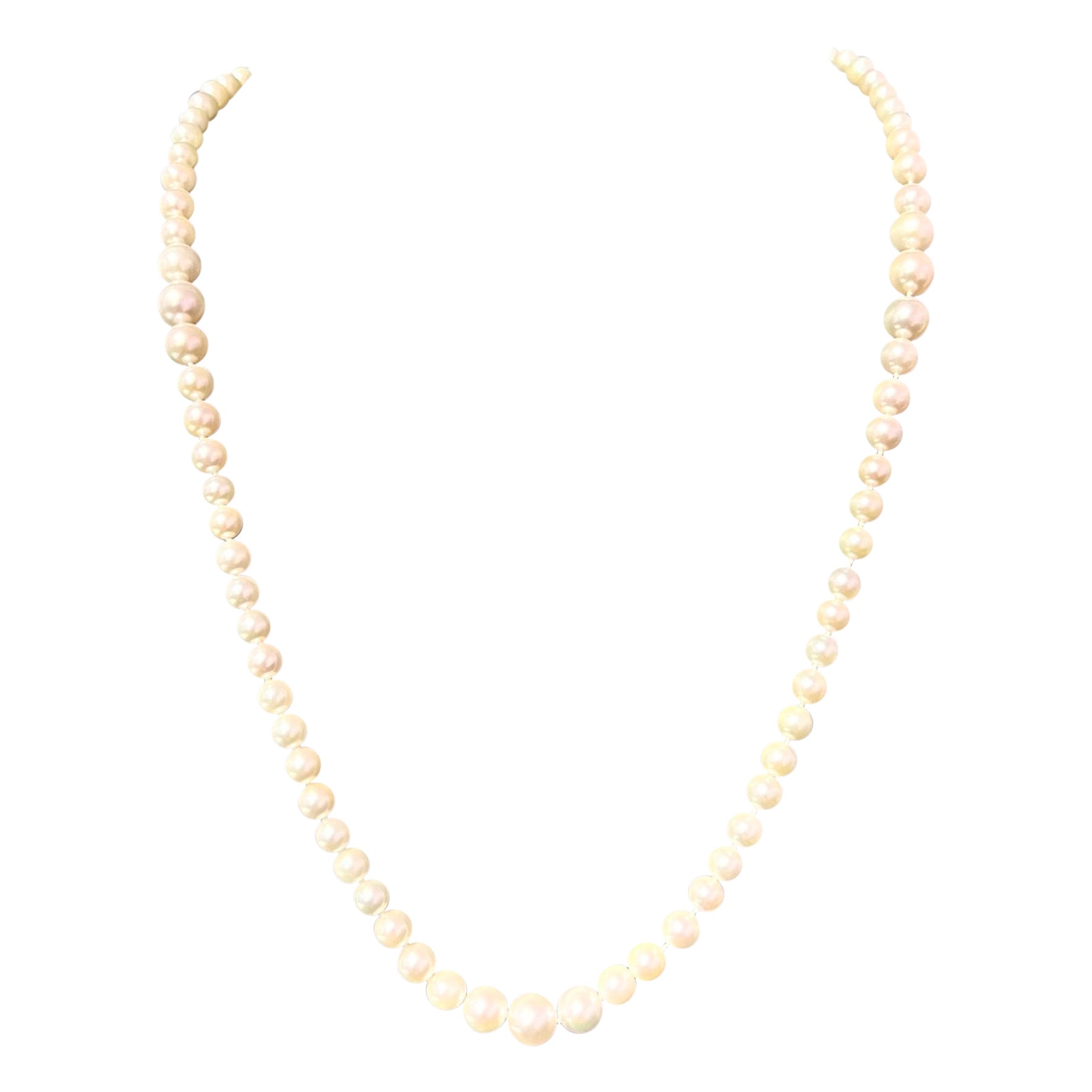 Akoya Pearl Necklace 14k Gold 8.5 mm Certified For Sale