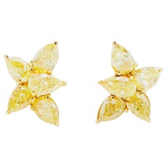 Emilio Jewelry GIA-zertifizierte Diamant-Cluster-Ohrringe