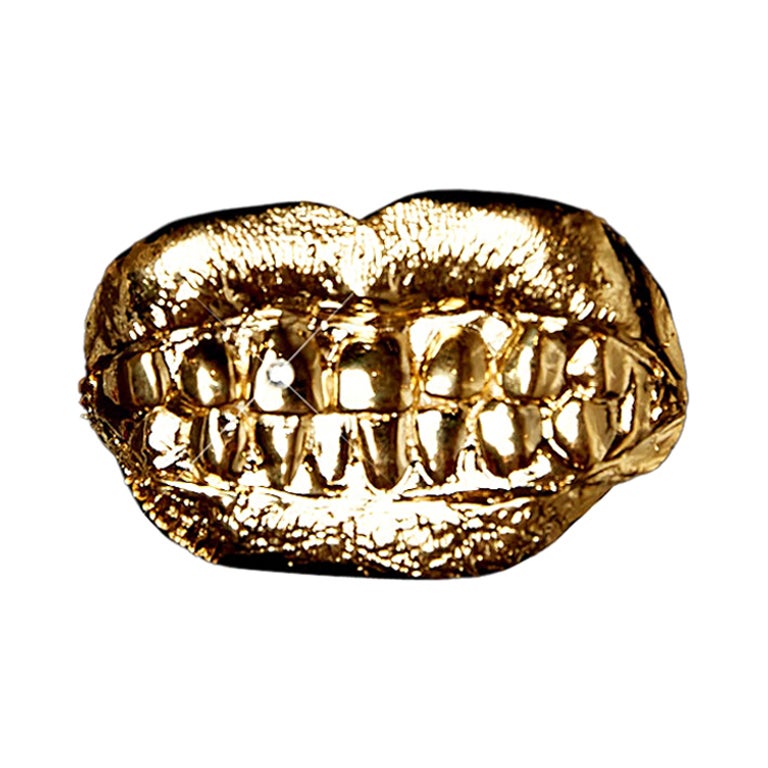 Toothy Brooch/Lapel Pin (24k yellow gold) For Sale