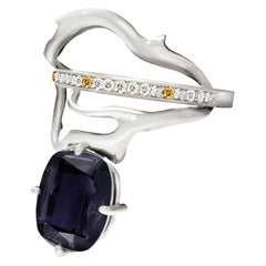 Eighteen Karat White Gold Contemporary Tibetan Ring with Spinel and Diamonds