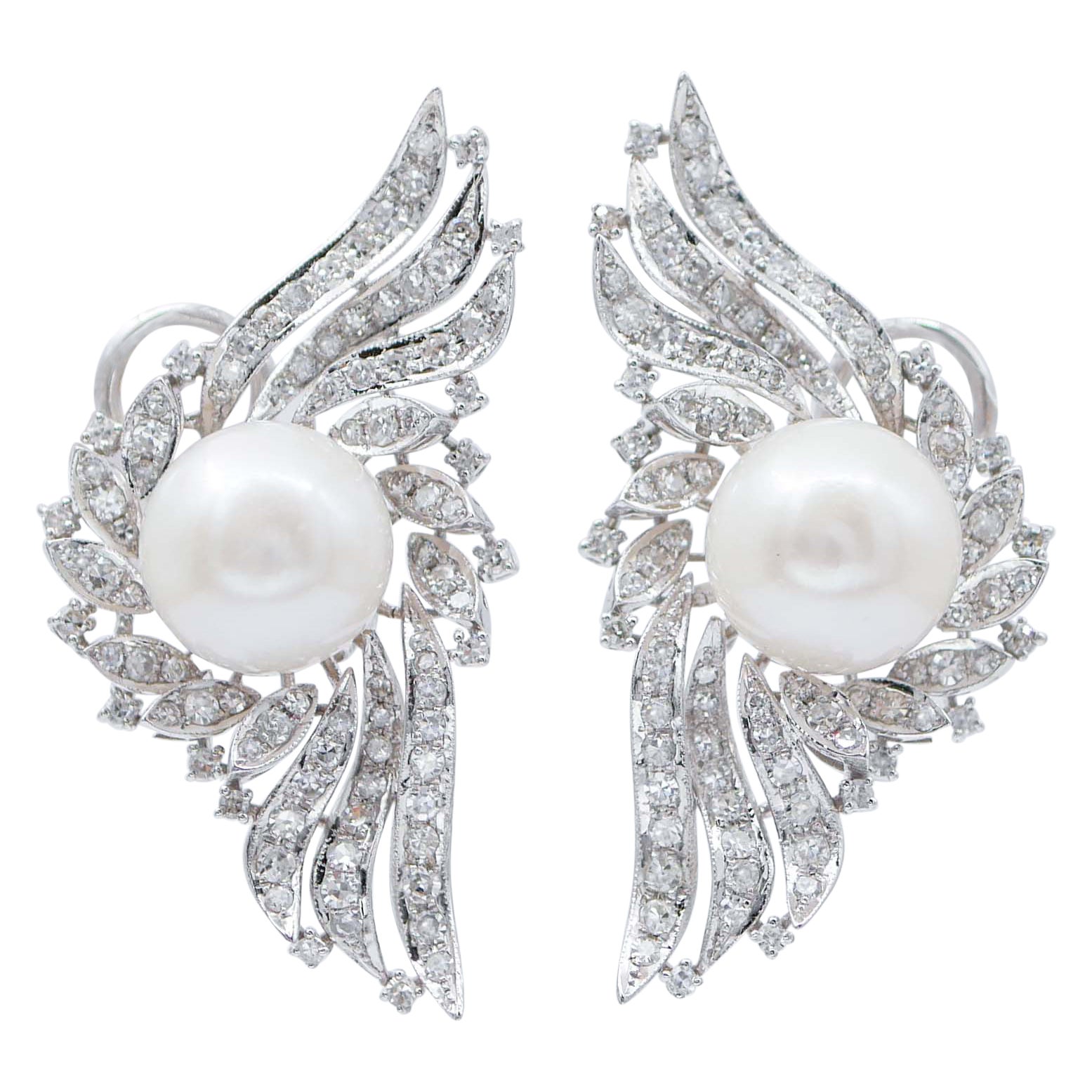 White Pearls, Diamonds, 14 Karat White Gold Earrings