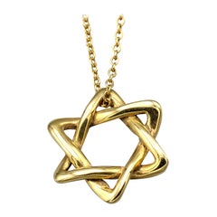 Tiffany & Co. Peretti Small 18 Karat Gold David Star Chain Necklace