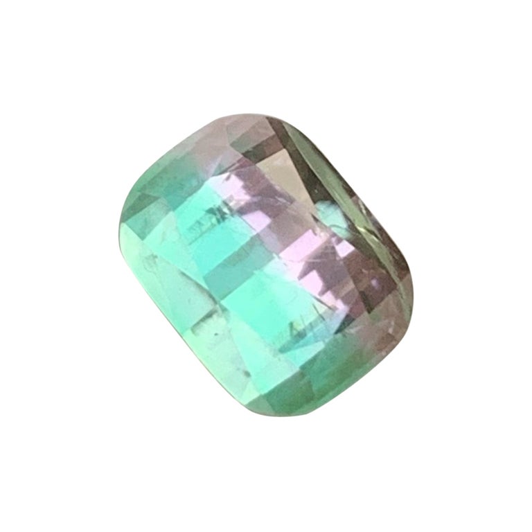 Belle pierre précieuse tourmaline naturelle bicolore de 2,90 carats, pierre précieuse tourmaline pour bague