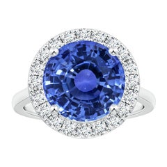 Angara Gia Certified Natural Round Blue Sapphire Ring in White Gold with Halo