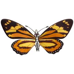 Antique Renè Lalique Important Enamel Butterfly Brooch Hairpiece 