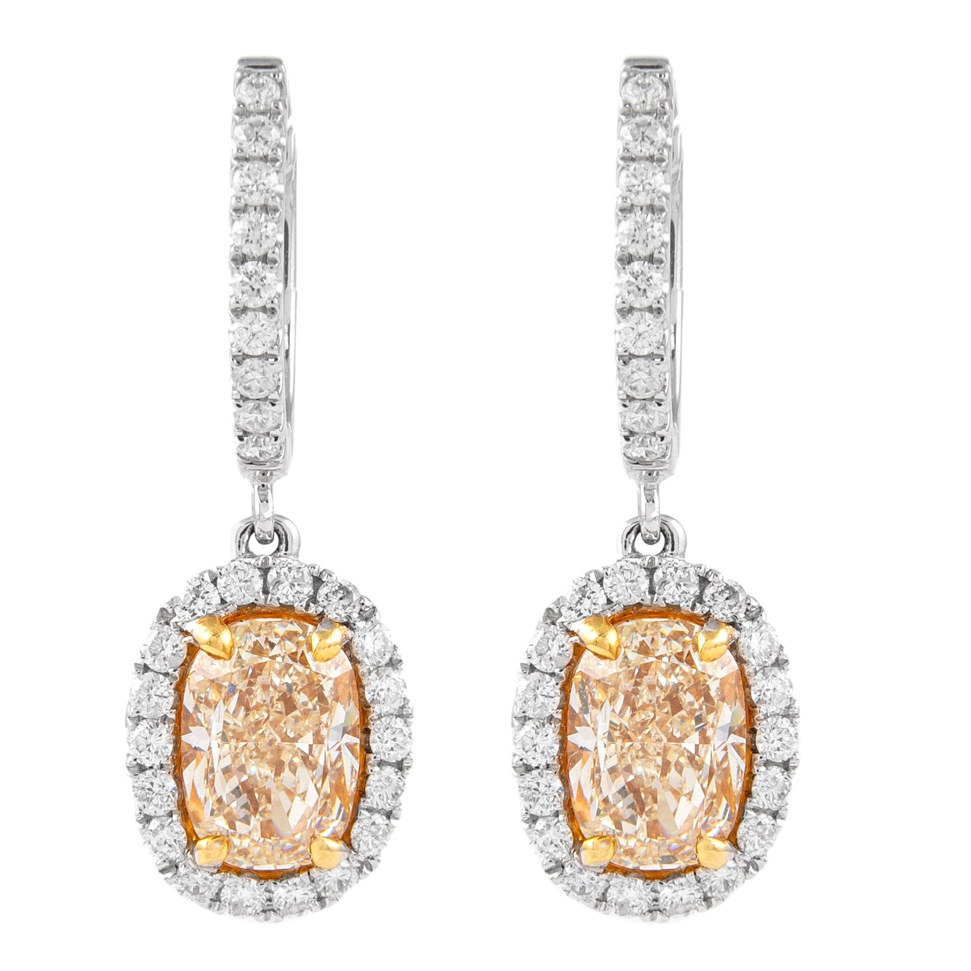 Alexander EGL 3.10ct Fancy Yellow Diamond with Halo Drop Earrings 18k Gold