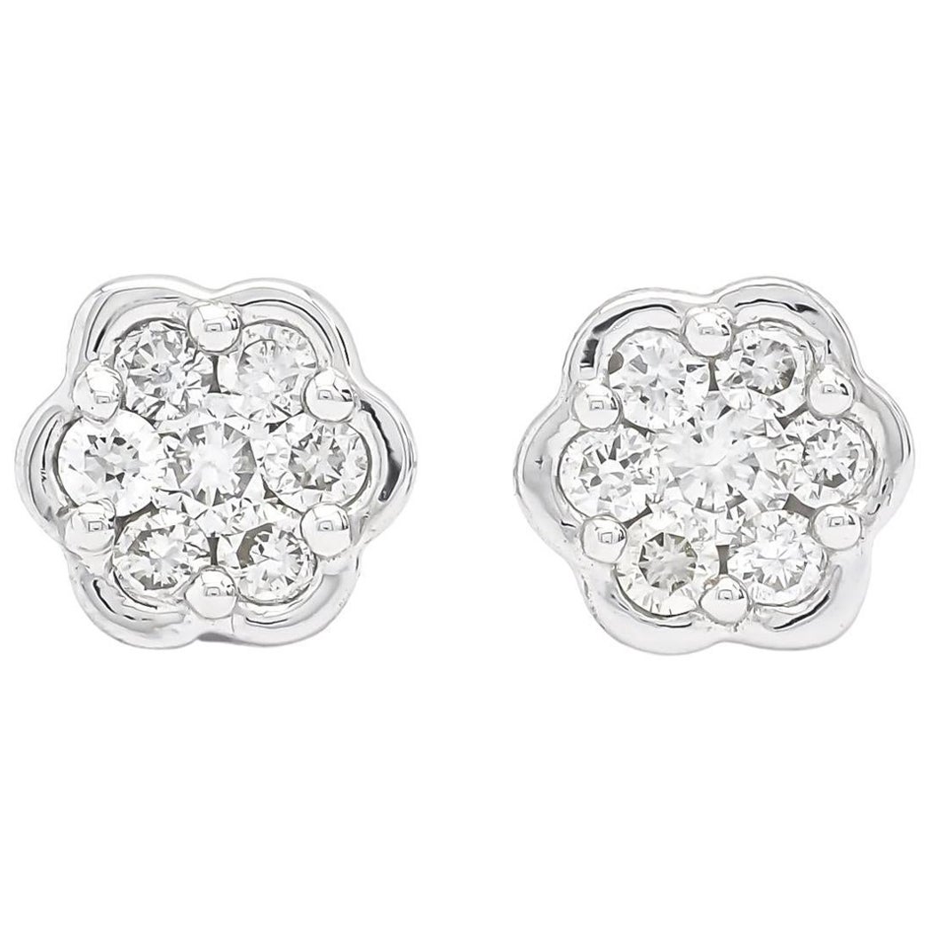 Natural Diamonds 0.26cts in 18 Karat White Gold Flower Cluster Stud Earrings