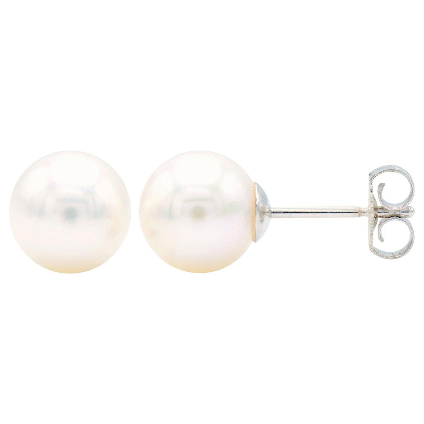 Cultured Pearl Stud Earrings with 14 Karat White Gold Post and Back For Sale
