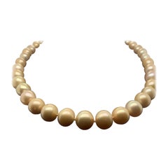 Golden South Sea Pearl Strand Necklace with 14k Yellow Gold Clasp