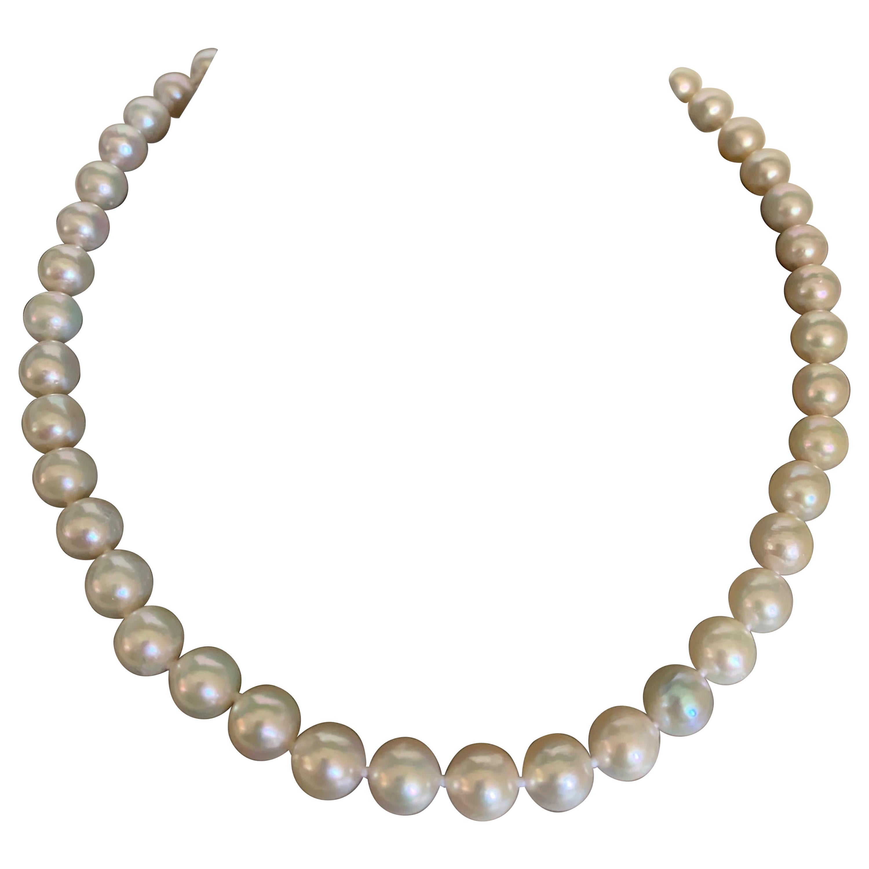 Collier de perles Akoya avec fermoir en or blanc