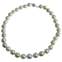 14k White Gold Various Color South Sea Pearl Necklace