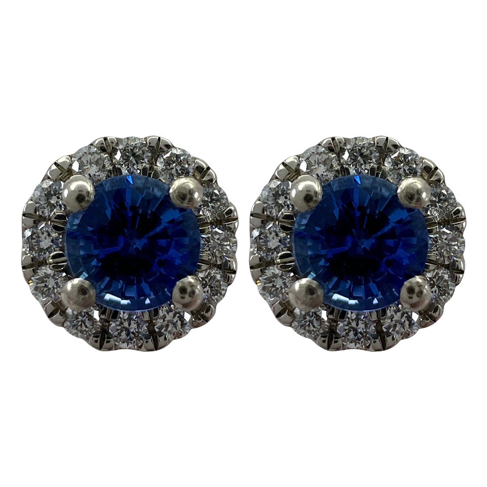 1.37ct Fine Blue Ceylon Sapphire & Diamond Platinum Round Cut Halo Stud Earrings