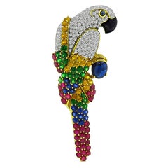 Épingle Cockatoo en saphir étoilé multicolore 3,00 carats et diamants 5,00 carats