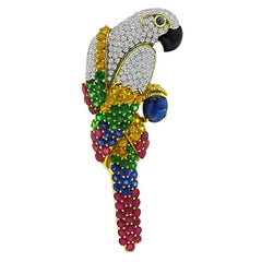 Vintage 3.00 Carat Diamond 5.00 Carat Star Sapphire Multi Color Gemstone Cockatoo Pin