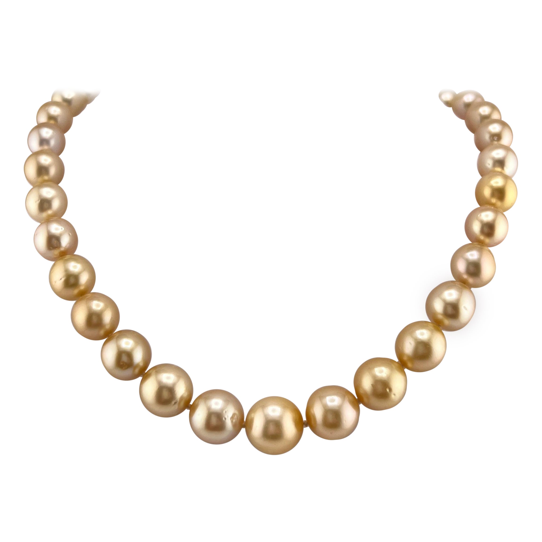 14k Golden South Seas Pearl Necklace at 1stDibs