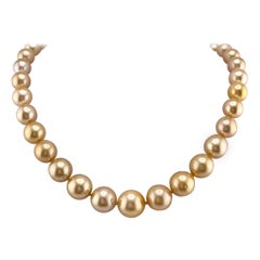 14k Golden South Seas Pearl Necklace