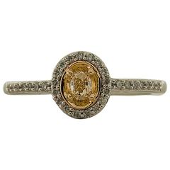 .38 Carats Fancy Yellow Diamond Two Color Gold Ring