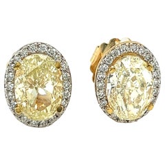 6.22ctw Natural Yellow Dia Earrings with Natural White Diamonds Gh VS2 Halo