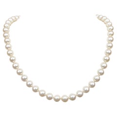 NO RESERVE - 7.5mm Cream Japanese Akoya Pearls, Yellow Gold Necklace