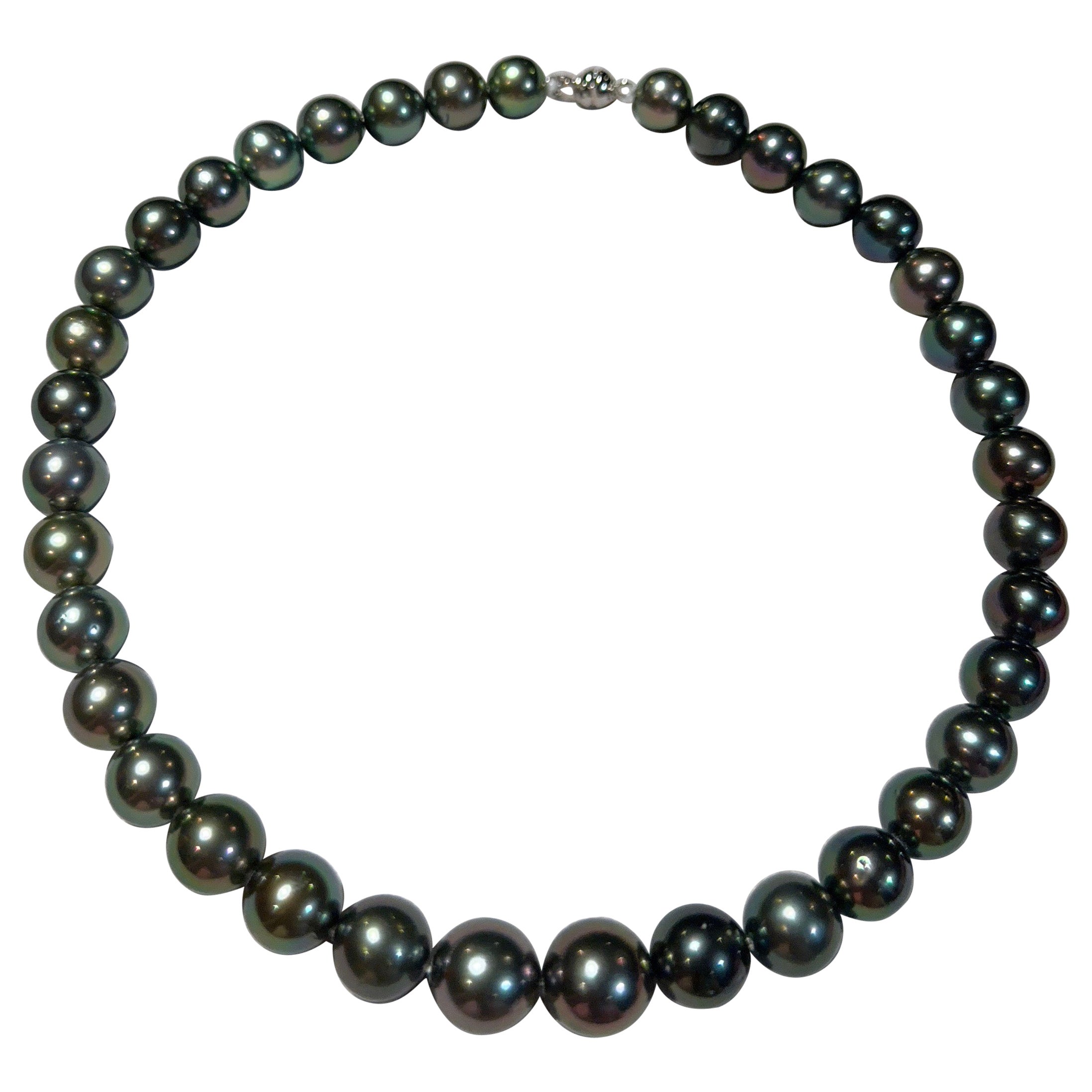 Eostre Black Tahitian Pearl Strand Necklace with 18K Clasp For Sale