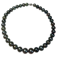 Eostre Collier de perles de Tahiti noires avec fermoir en or 18 carats