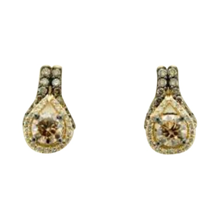 Boucles d'oreilles composées de diamants de couleur chocolat et de diamants de couleur vanille sertis dans de l'or jaune 14K. en vente