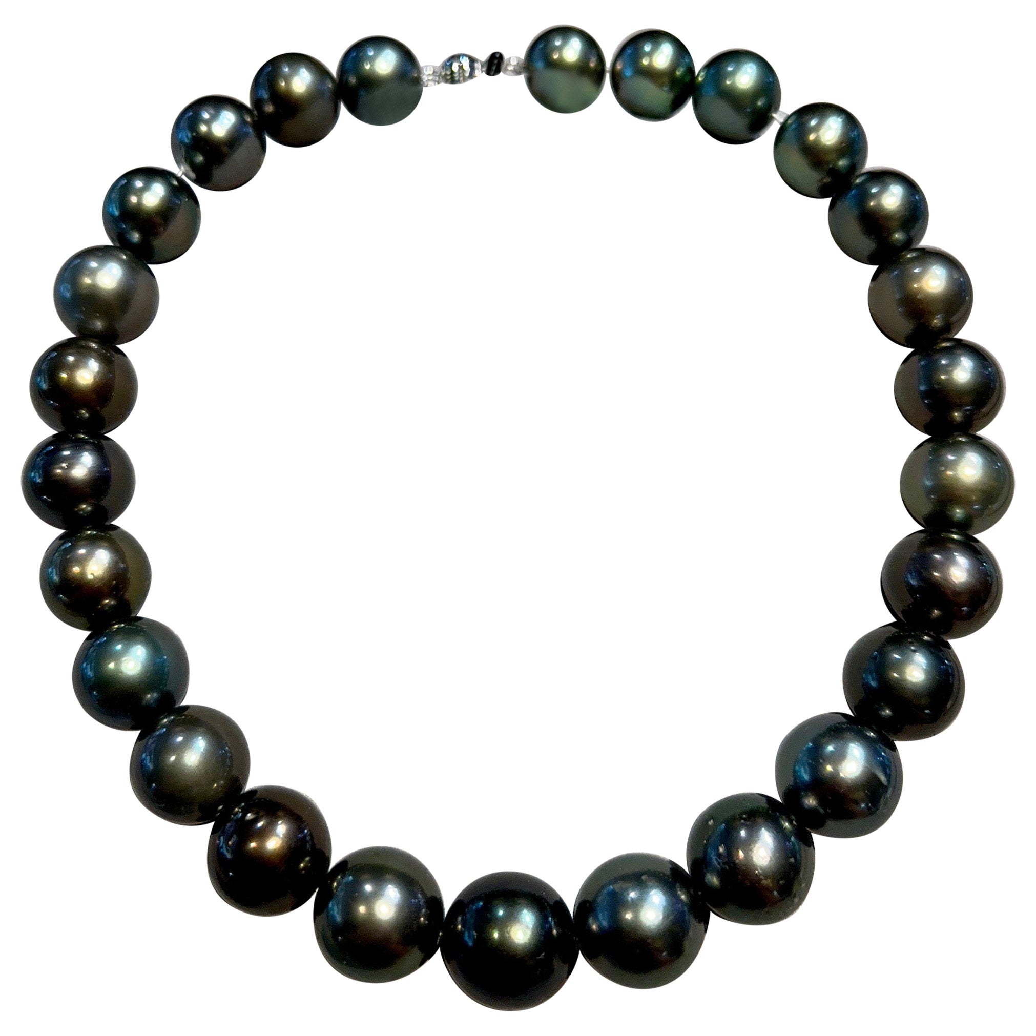 Eostre Black Tahitian Pearl Strand Necklace with White Gold Clasp For Sale