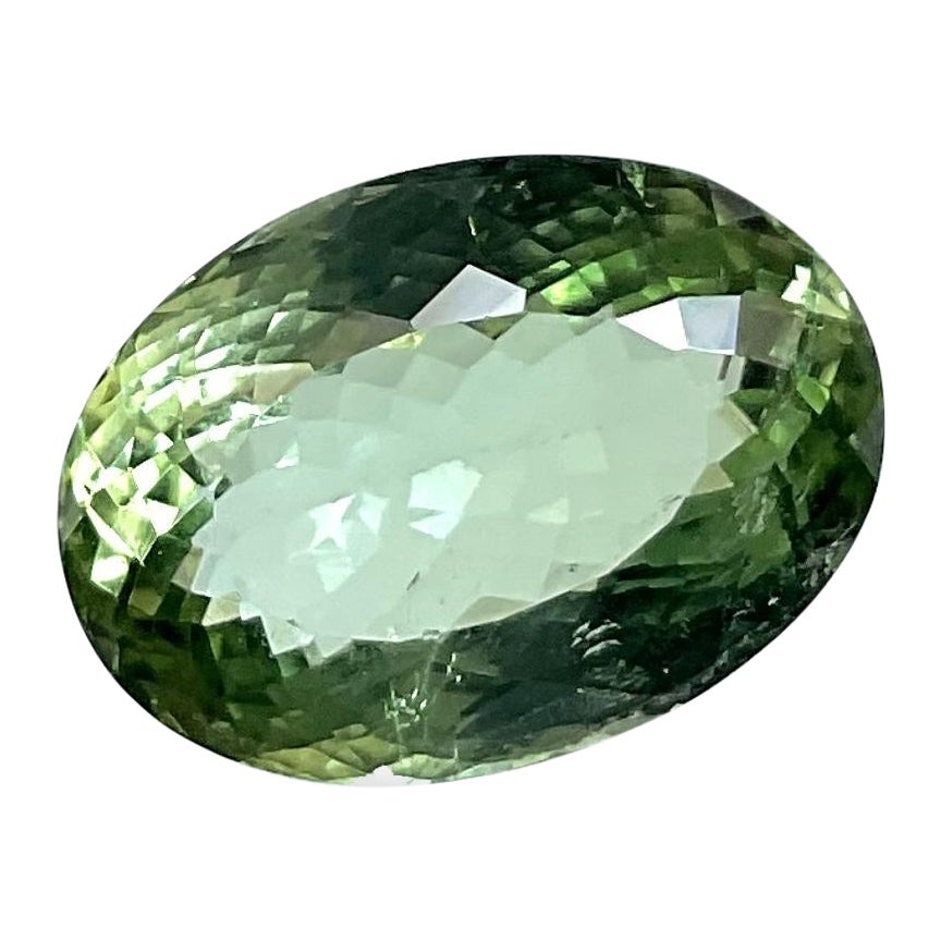  9.60 Carats Green Tourmaline Oval Faceted Cut Stone Natural Gemstone for Ring For Sale