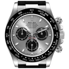 Rolex Cosmograph Daytona White Gold Grey Dial Mens Watch 116519 Box Card