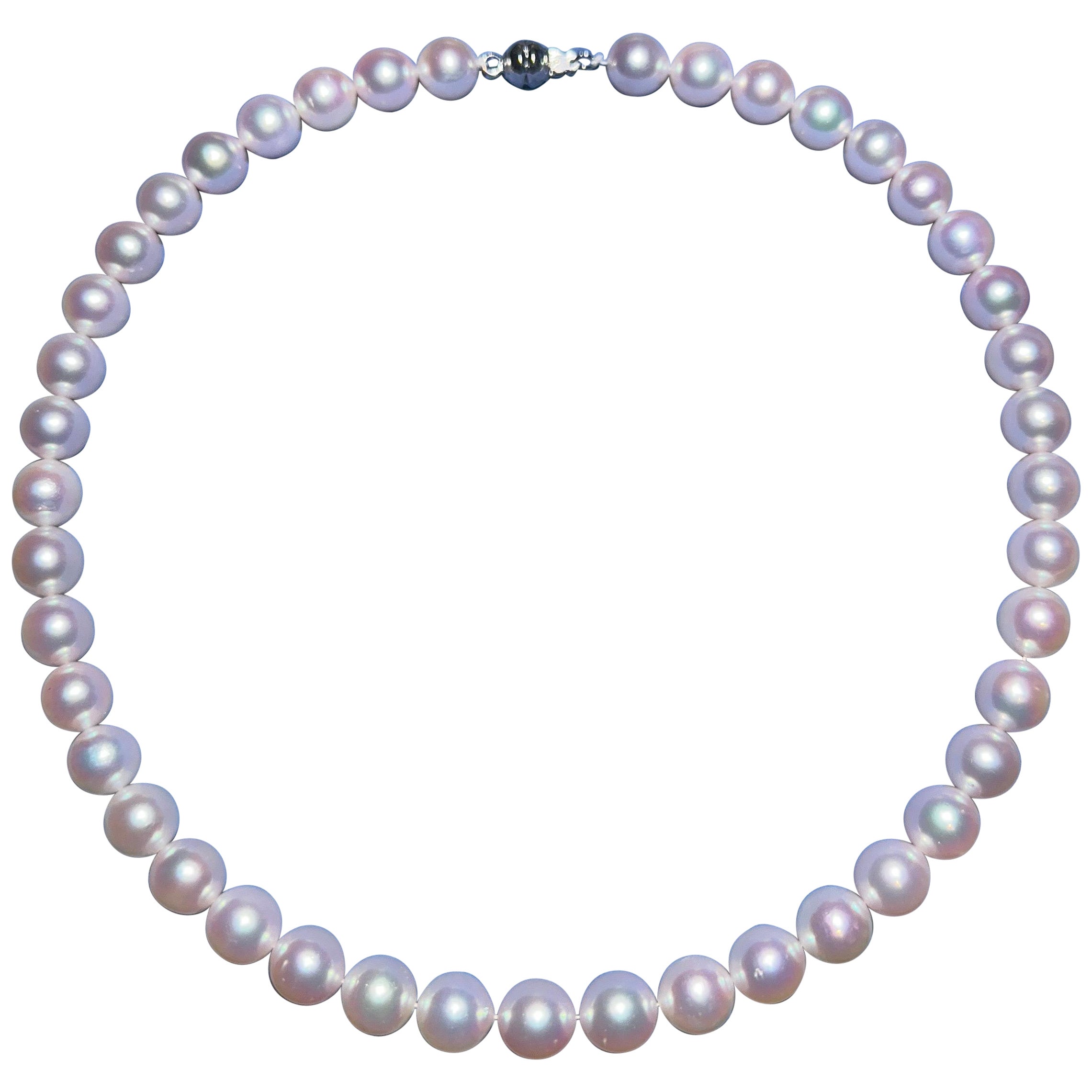 Eostre Akoya Round Pearl Strand Necklace