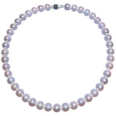 Eostre Akoya Round Pearl Strand Necklace