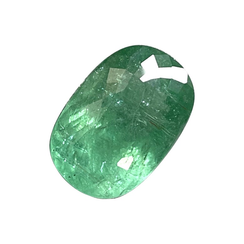 Pierre de tourmaline verte Paraiba de taille ovale certifiée 19.35 carats pour la bijouterie d'art