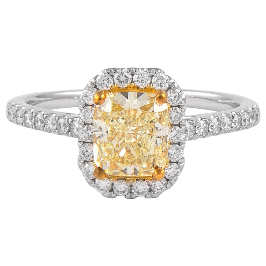 Alexander GIA - Diamant jaune clair fantaisie de 1,23 carat avec halo en or bicolore 18 carats en vente