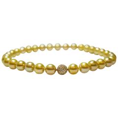 Golden South Sea Pearl Necklace