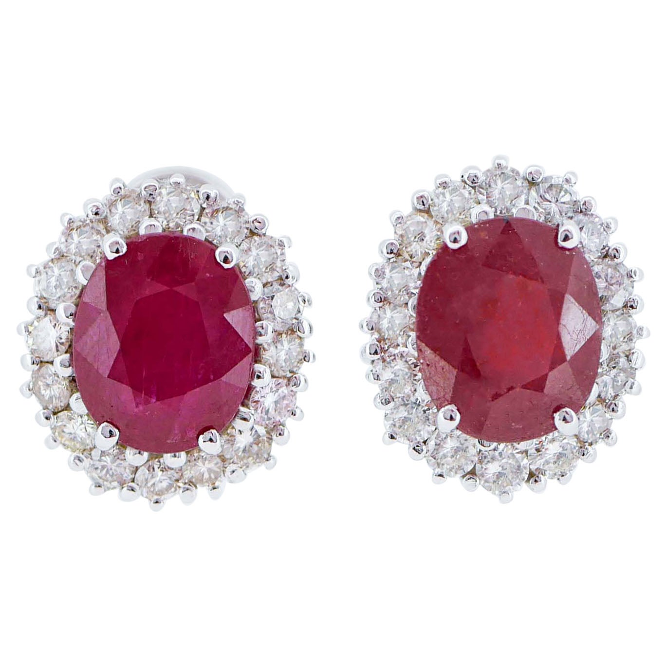 Rubies, Diamonds, Platinum and 14 Karat White Gold Earrings. For Sale