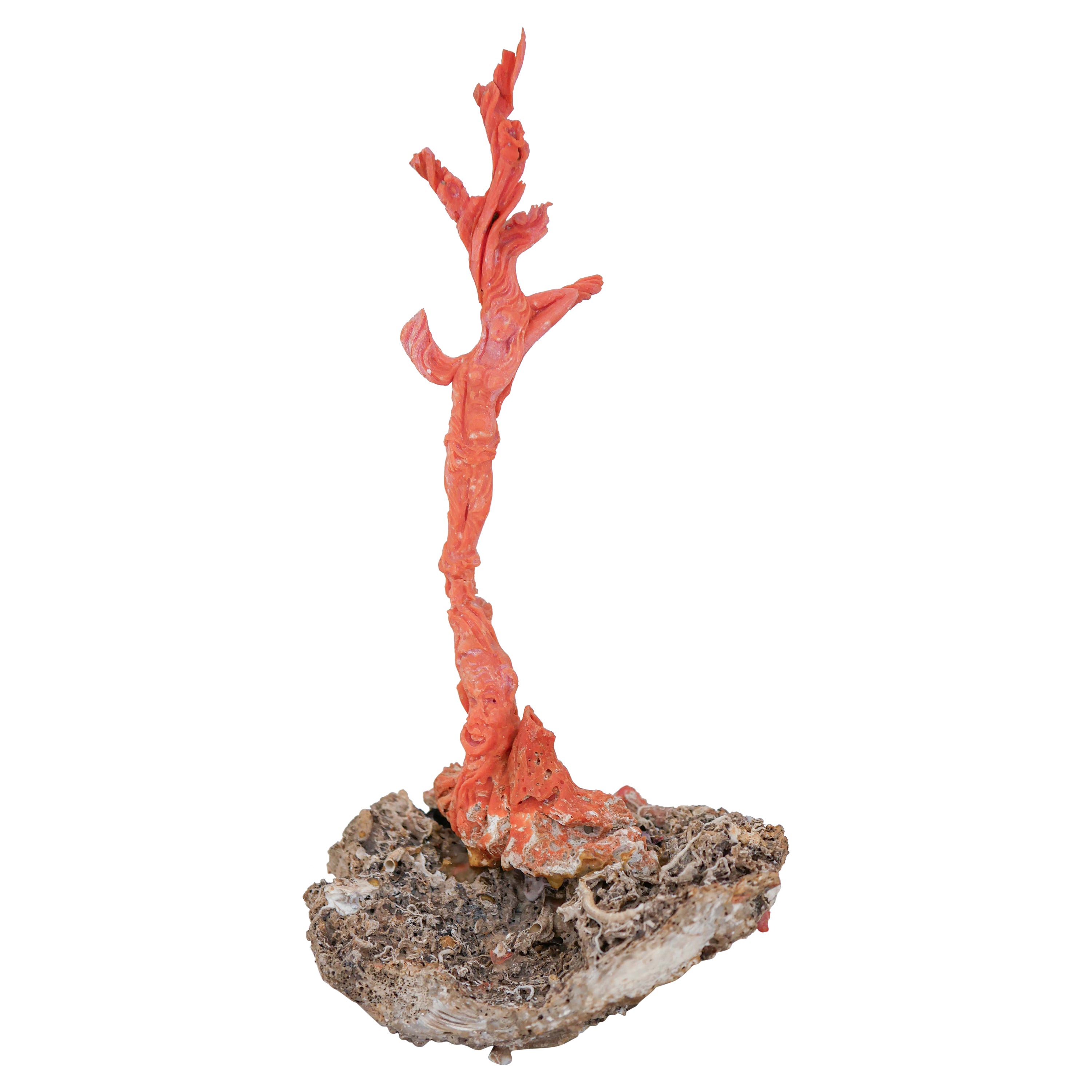 Coral, Stone Sculpture. For Sale