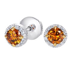 Hirsh Regal Orange Diamond Earrings