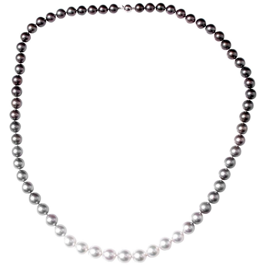 Stunning Ombre South Sea Pearl Necklace
