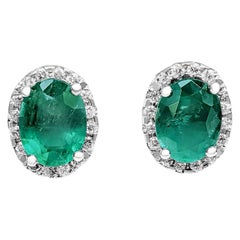$1 NO RESERVE! 2.31 Carat Emerald & 0.35 Ct Diamonds 14 Kt. White gold Earrings